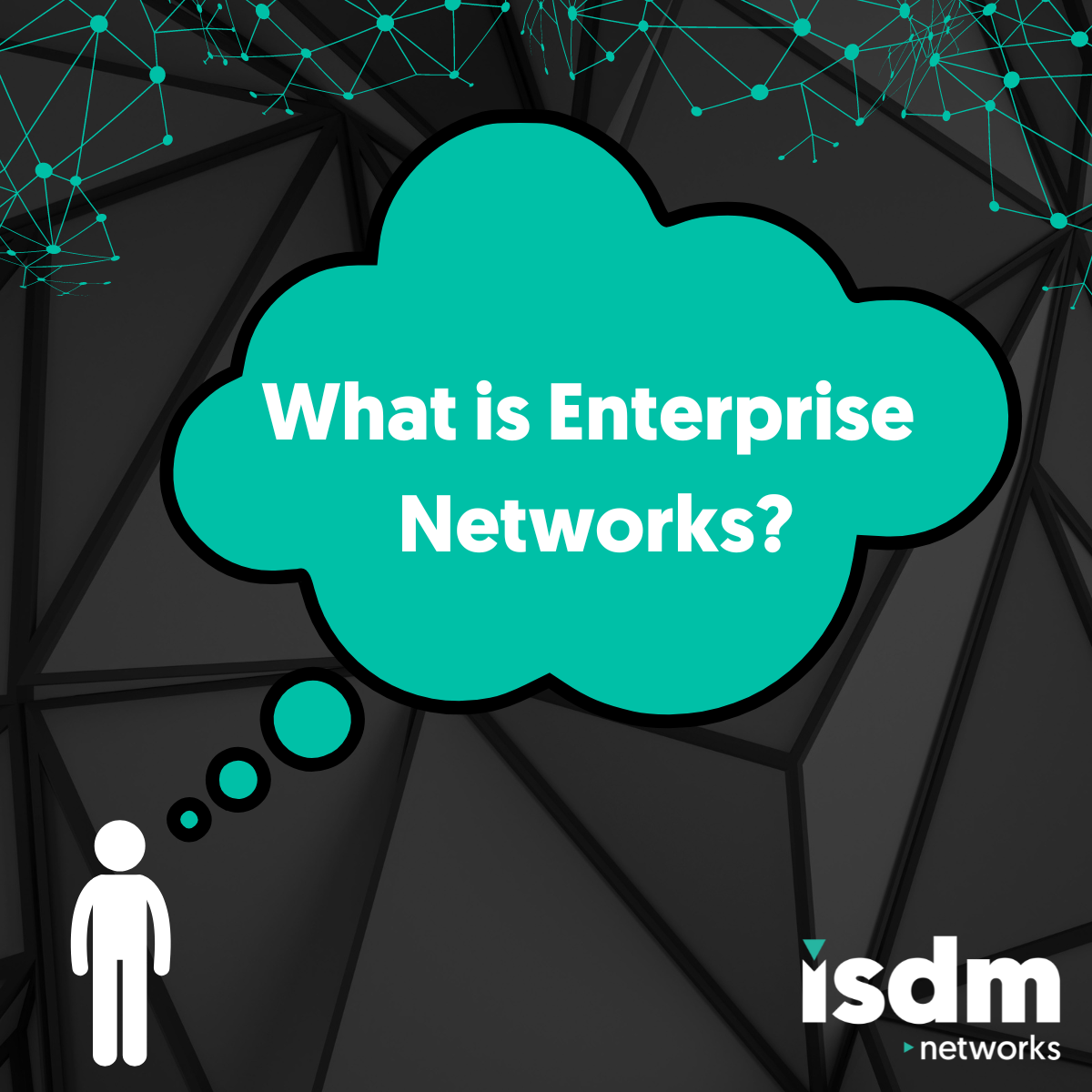 What is Enterprise Networks?